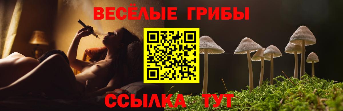 Галлюциногенные грибы прущие грибы Томск